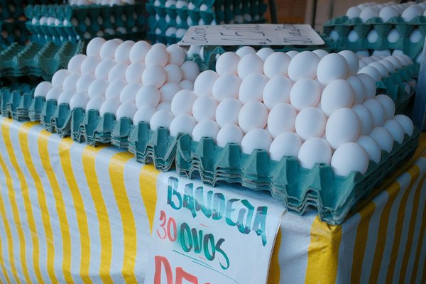 Le guide complet pour choisir le hachoir à viande parfait pour déguster des tartares délicieux et raffinés